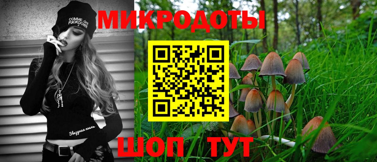 Галлюциногенные грибы Psilocybine cubensis Ревда